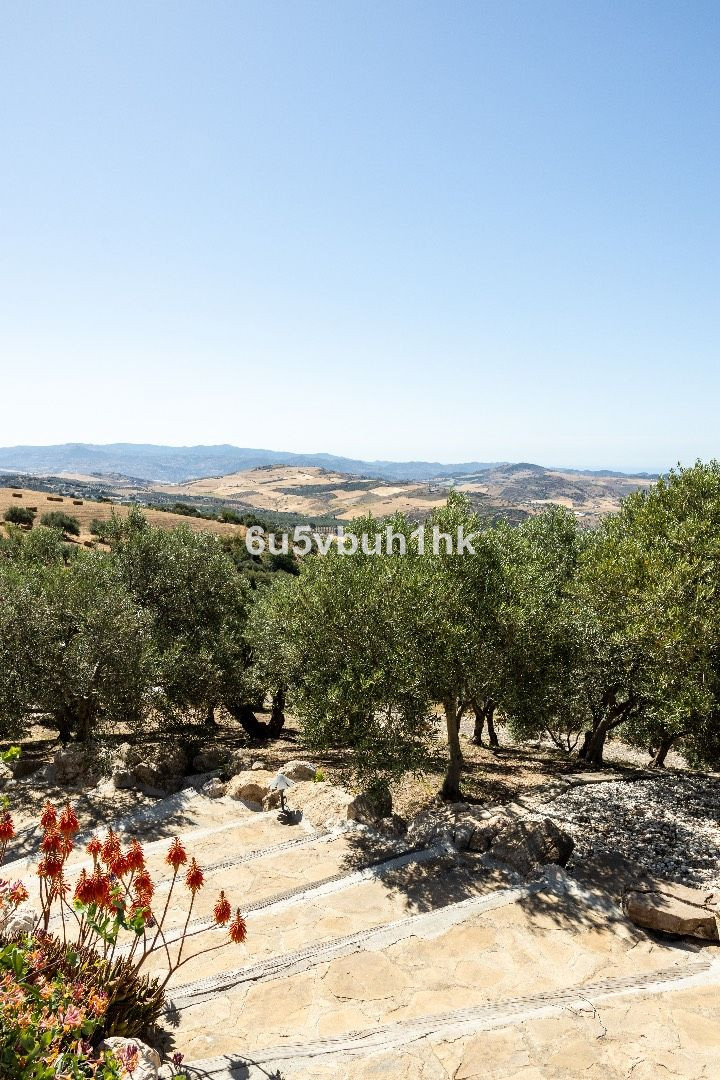 f3d183d5105f21350208f361fbdf76e7 - 33