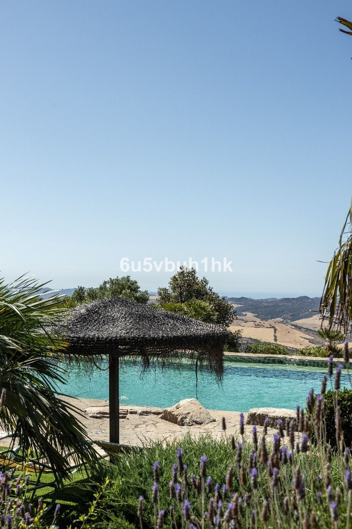 f3d183d5105f21350208f361fbdf76e7 - 34