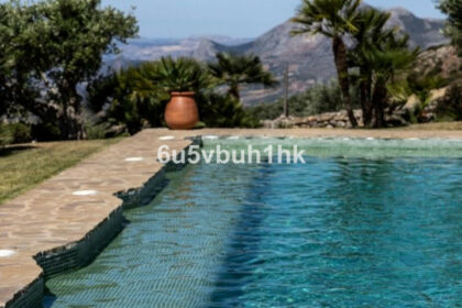 f3d183d5105f21350208f361fbdf76e7 - 37