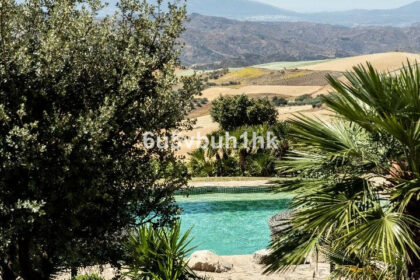 f3d183d5105f21350208f361fbdf76e7 - 42