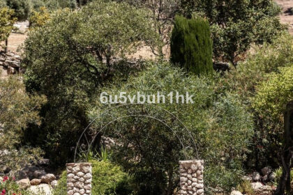 f3d183d5105f21350208f361fbdf76e7 - 44