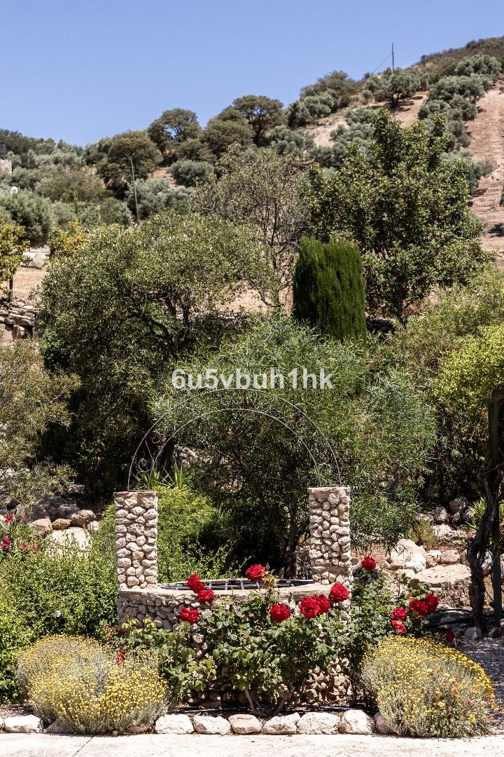 f3d183d5105f21350208f361fbdf76e7 - 44