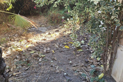 f778be597bc4549a450c7ba1c18e22d5 - 11