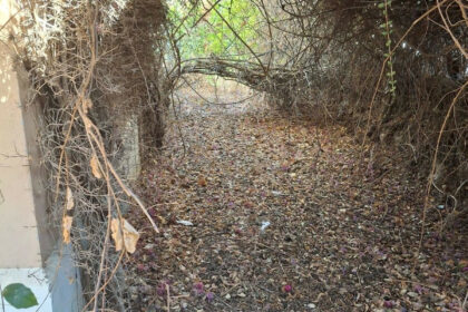 f778be597bc4549a450c7ba1c18e22d5 - 12