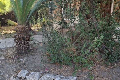 f778be597bc4549a450c7ba1c18e22d5 - 13