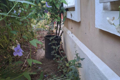 f778be597bc4549a450c7ba1c18e22d5 - 14