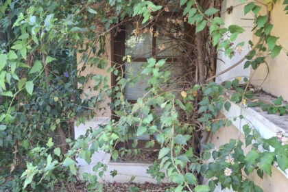 f778be597bc4549a450c7ba1c18e22d5 - 15