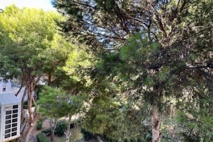 fb428062a7b8825caa67a2ac92b97c6e - 37