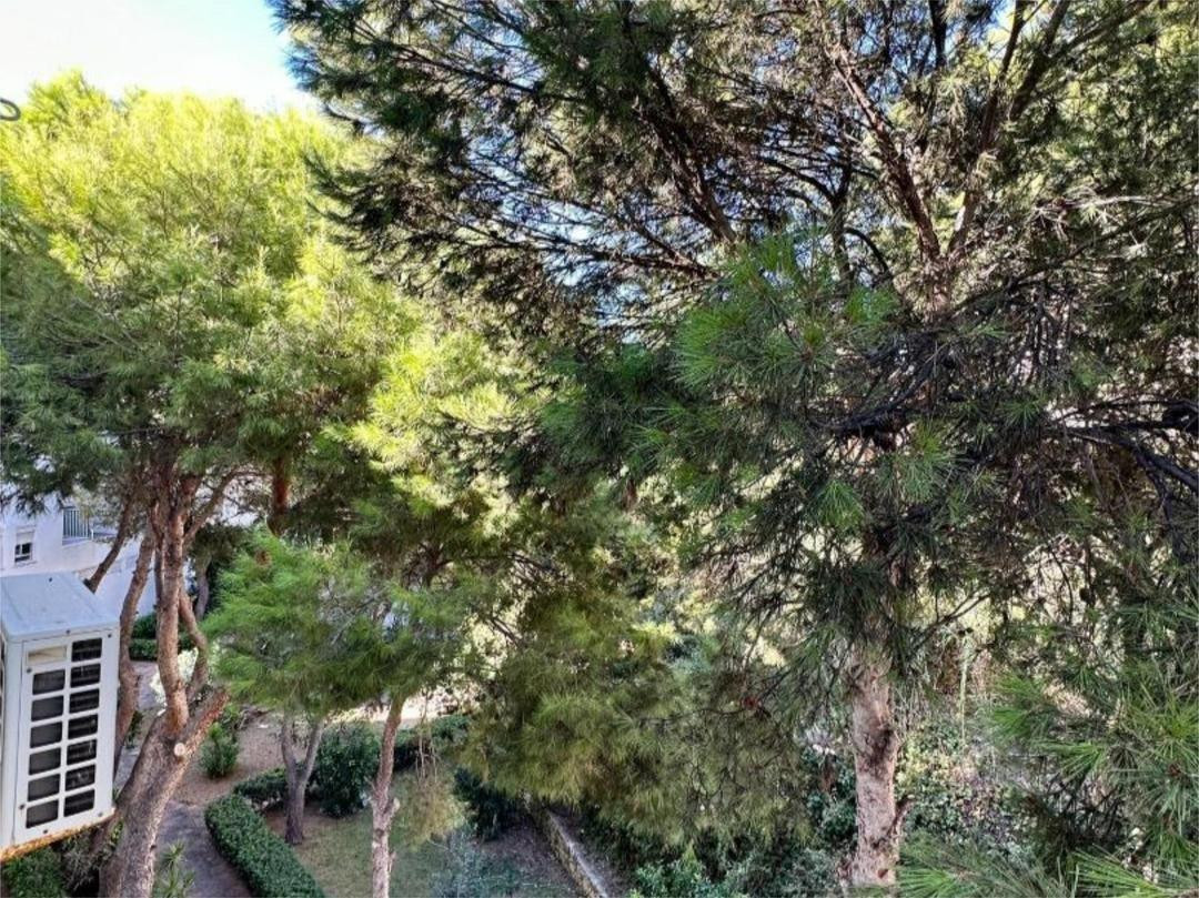 fb428062a7b8825caa67a2ac92b97c6e - 37