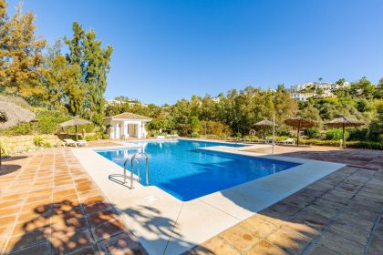 fbebcf18b5f2f2bcfba6fc8c6a031164 - 16