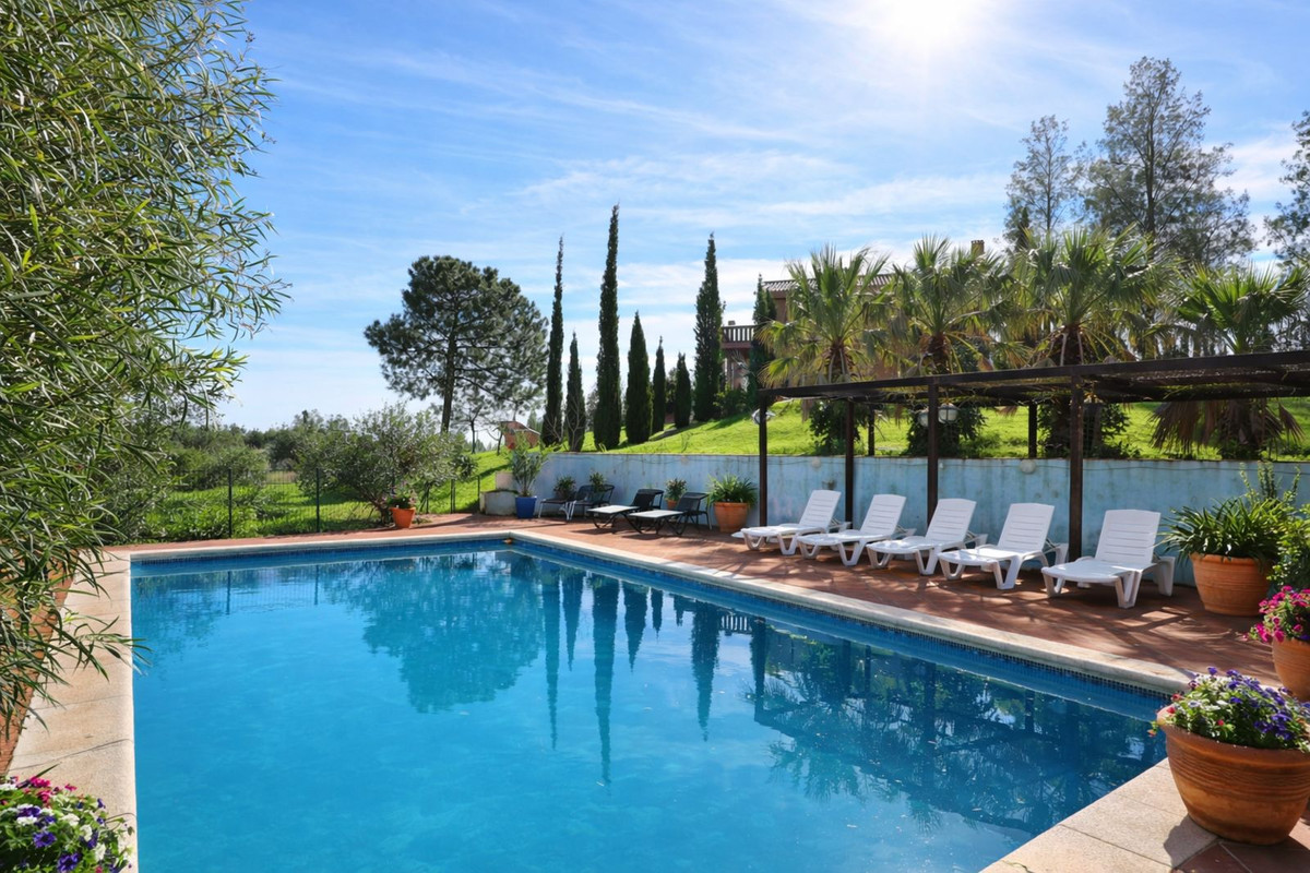 fc2033520b0c430722ec61de29e4a59e - 1