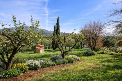 fc2033520b0c430722ec61de29e4a59e - 44