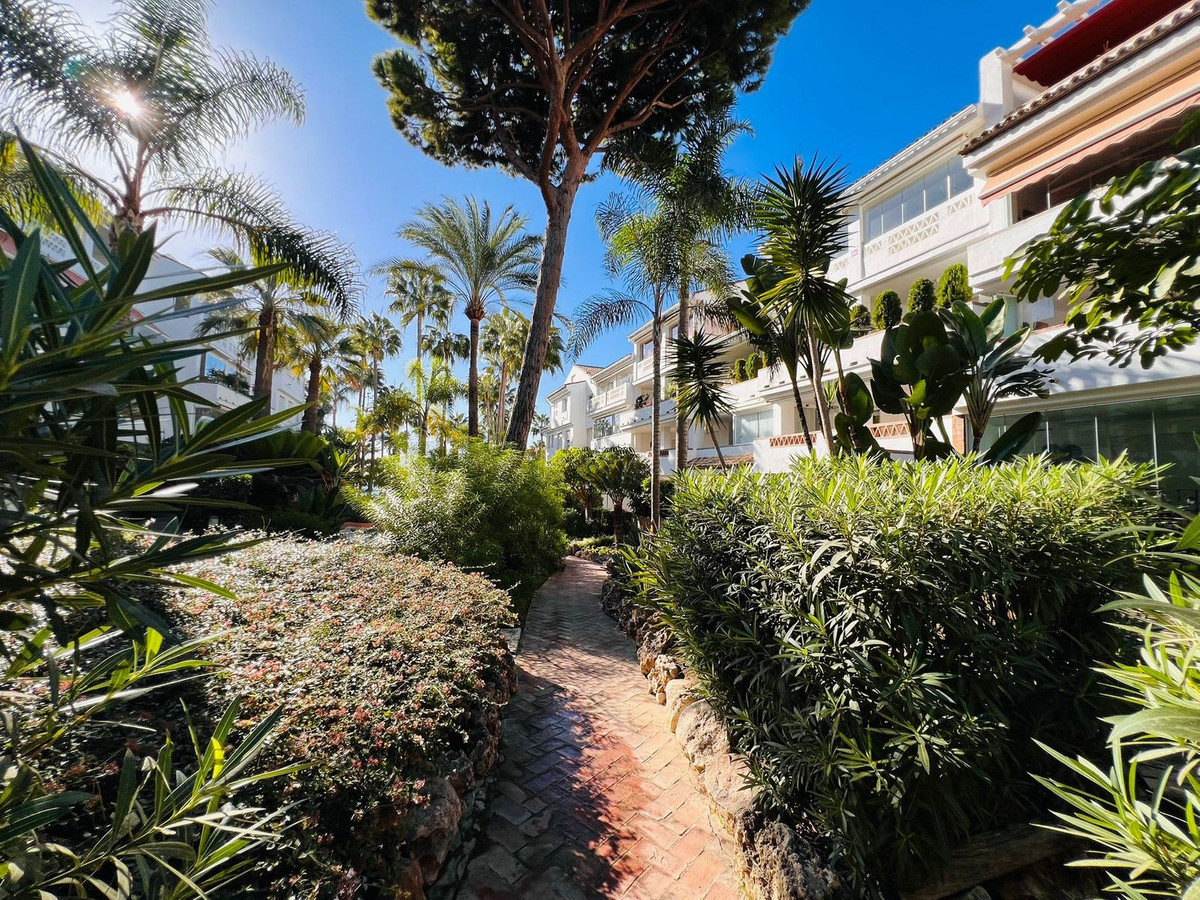 fc8efc6b06b8f723797c6ab6be36a308 - 20