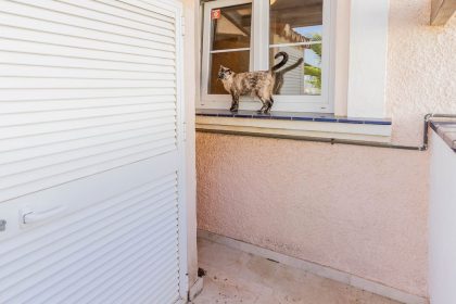 fdfc495d594fbd640ad2e209865f5fb2 - 46