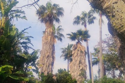 fe495ff42941b555dedc8b8820e70cd1 - 37