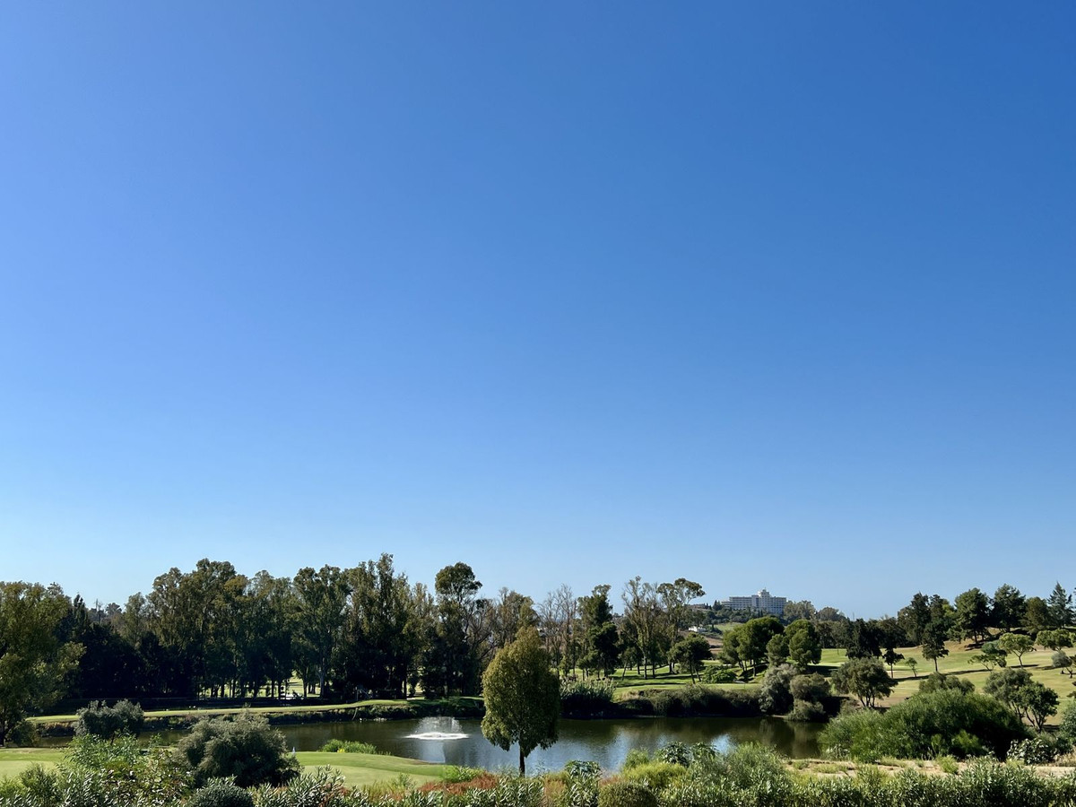 ff9117f8276c7238a8e57bc9383e5d2e - 30