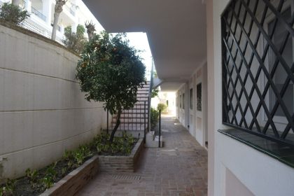 ffcfe9bfac7a0870e3d914a38753fc27 - 30