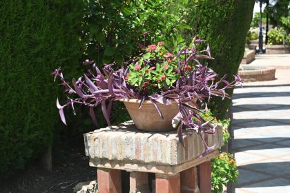 ffcfe9bfac7a0870e3d914a38753fc27 - 44