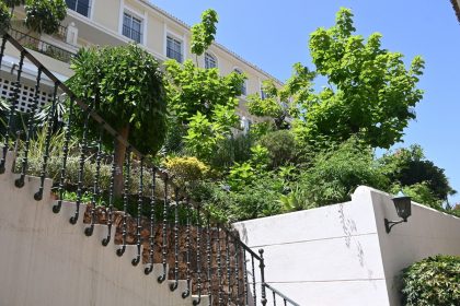 ffcfe9bfac7a0870e3d914a38753fc27 - 45