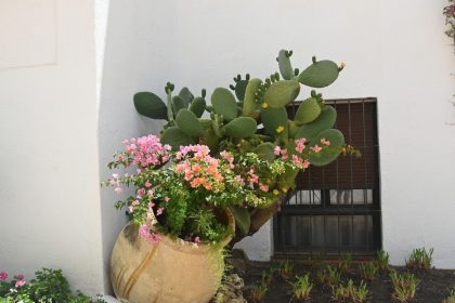 ffcfe9bfac7a0870e3d914a38753fc27 - 5