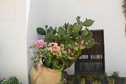 ffcfe9bfac7a0870e3d914a38753fc27 - 58