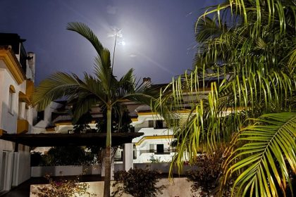 ffe9fe435b83b8dfa4783c040a575d01 - 24