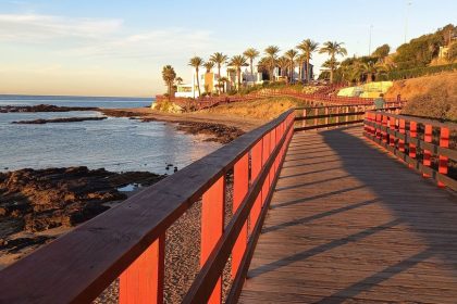 ffe9fe435b83b8dfa4783c040a575d01 - 26