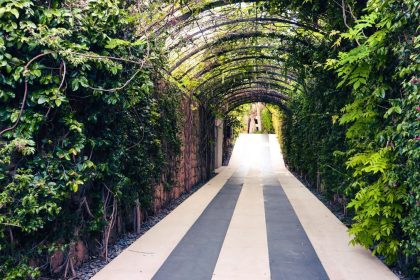 033fd3b97bbc0840ce22e187899651a0 - 2