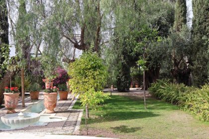 033fd3b97bbc0840ce22e187899651a0 - 8