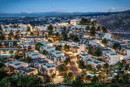 05ef814b496c28aef34541dd8750ca22 - 24