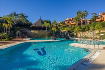 06638ec284027cdb59ea83d027f95dab - 21