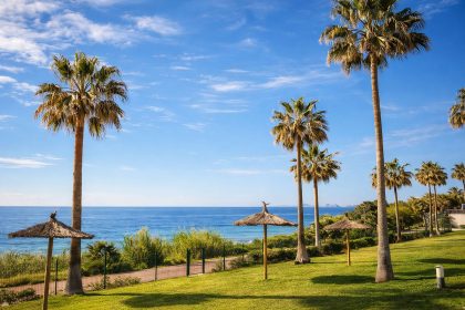 0da49b09df3acc374ab287caa0ed0cd4 - 2