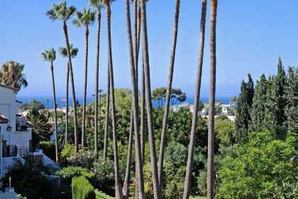 0ff6ea5376bc217248fda4a0351eb28a - 15