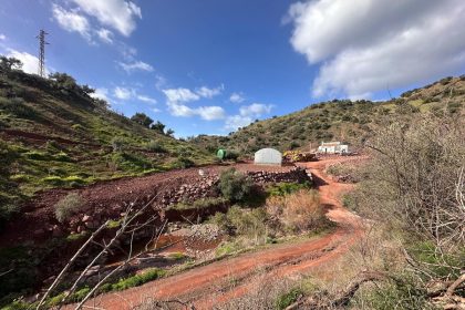 12af1f94f57c6e9fa565d14f738a8606 - 28