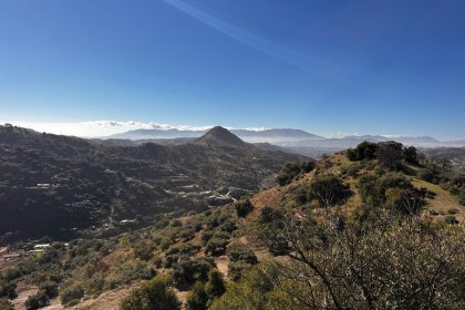 12af1f94f57c6e9fa565d14f738a8606 - 37