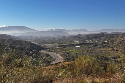 12af1f94f57c6e9fa565d14f738a8606 - 38