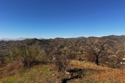 12af1f94f57c6e9fa565d14f738a8606 - 39