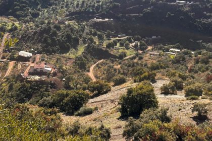 12af1f94f57c6e9fa565d14f738a8606 - 41