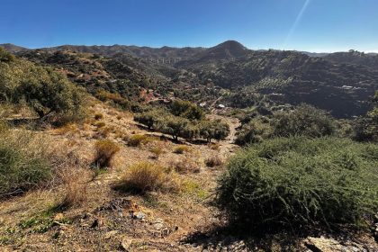 12af1f94f57c6e9fa565d14f738a8606 - 42