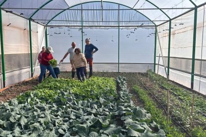 12af1f94f57c6e9fa565d14f738a8606 - 46