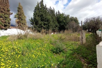 17cb6460a0b9e7bf7c40f209bd34de98 - 1