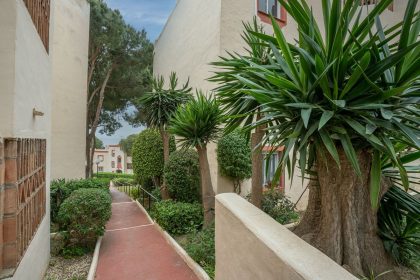 19e16edbd51334910df6e5bfa8d84887 - 3