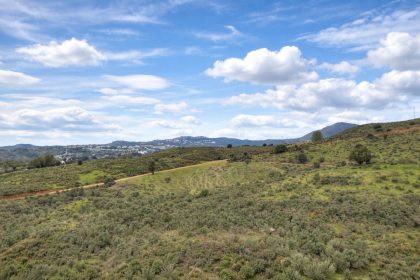 27846b13dab711755e53a0c51461e48e - 41