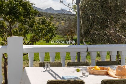 2aaaf955b474bd407a42323886d896f7 - 15