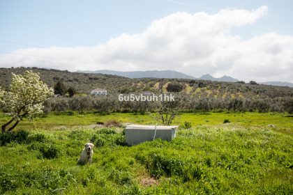 2aaaf955b474bd407a42323886d896f7 - 16