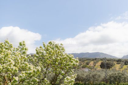 2aaaf955b474bd407a42323886d896f7 - 17