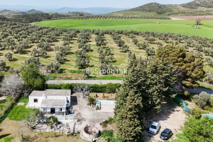 2aaaf955b474bd407a42323886d896f7 - 18