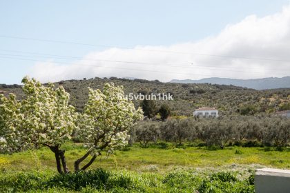 2aaaf955b474bd407a42323886d896f7 - 19