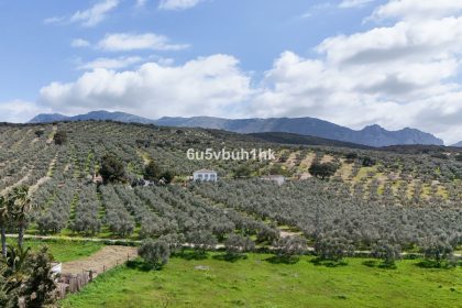 2aaaf955b474bd407a42323886d896f7 - 20