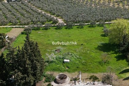 2aaaf955b474bd407a42323886d896f7 - 22